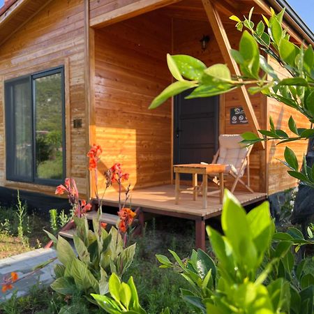 Lemon Garden Lodge Çıralı Zewnętrze zdjęcie