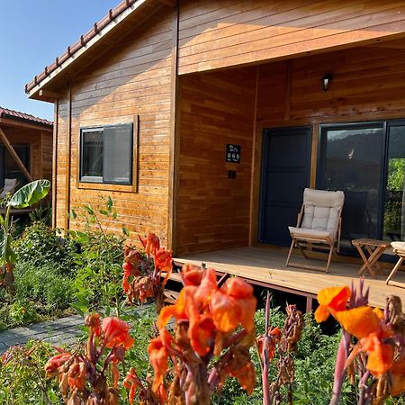 Lemon Garden Lodge Çıralı Zewnętrze zdjęcie