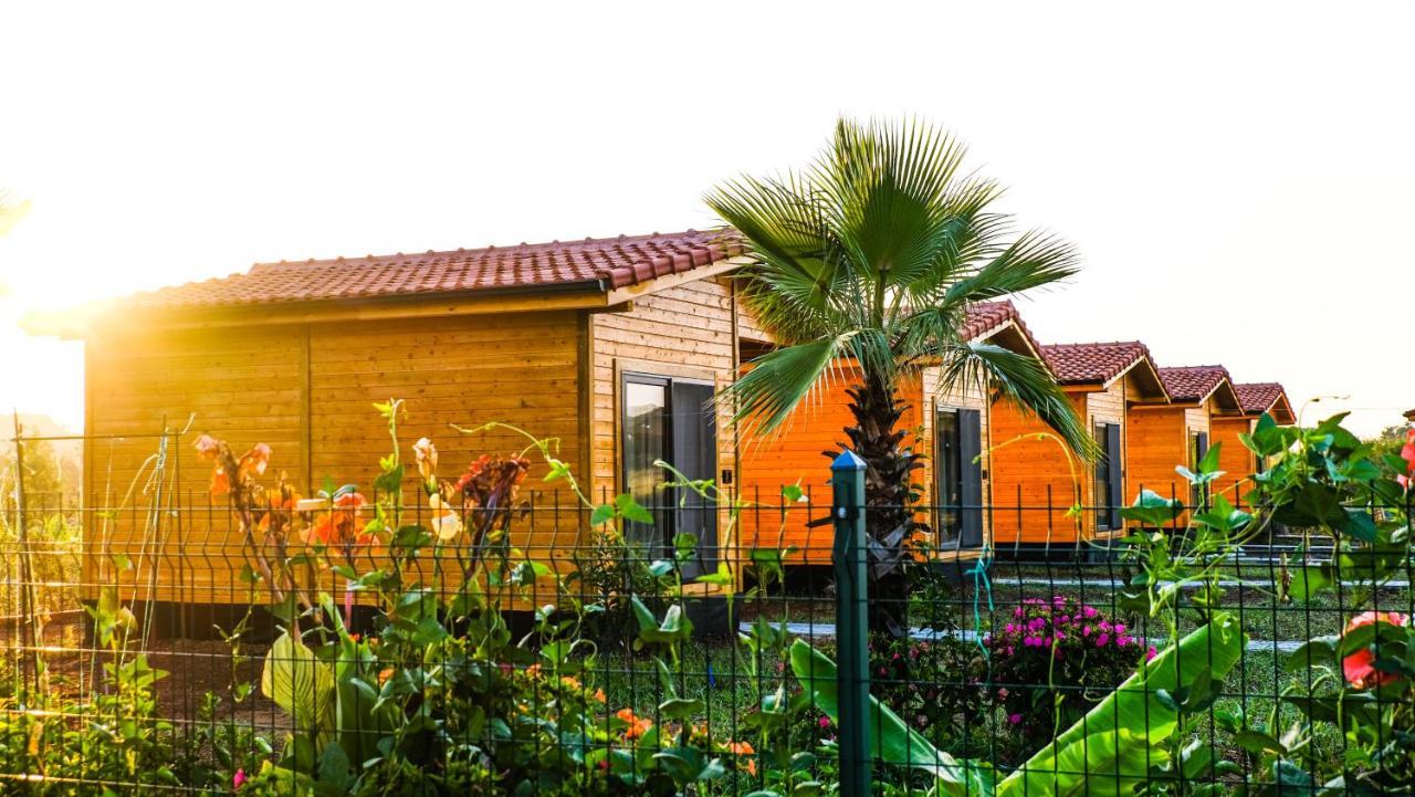 Lemon Garden Lodge Çıralı Zewnętrze zdjęcie