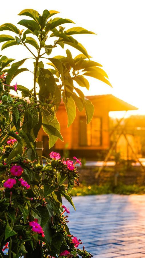Lemon Garden Lodge Çıralı Zewnętrze zdjęcie