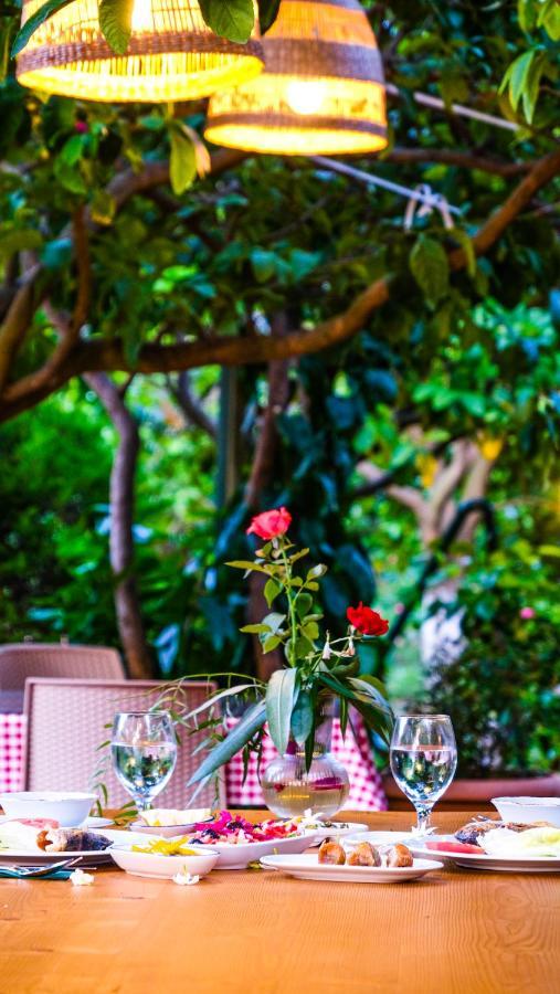 Lemon Garden Lodge Çıralı Zewnętrze zdjęcie