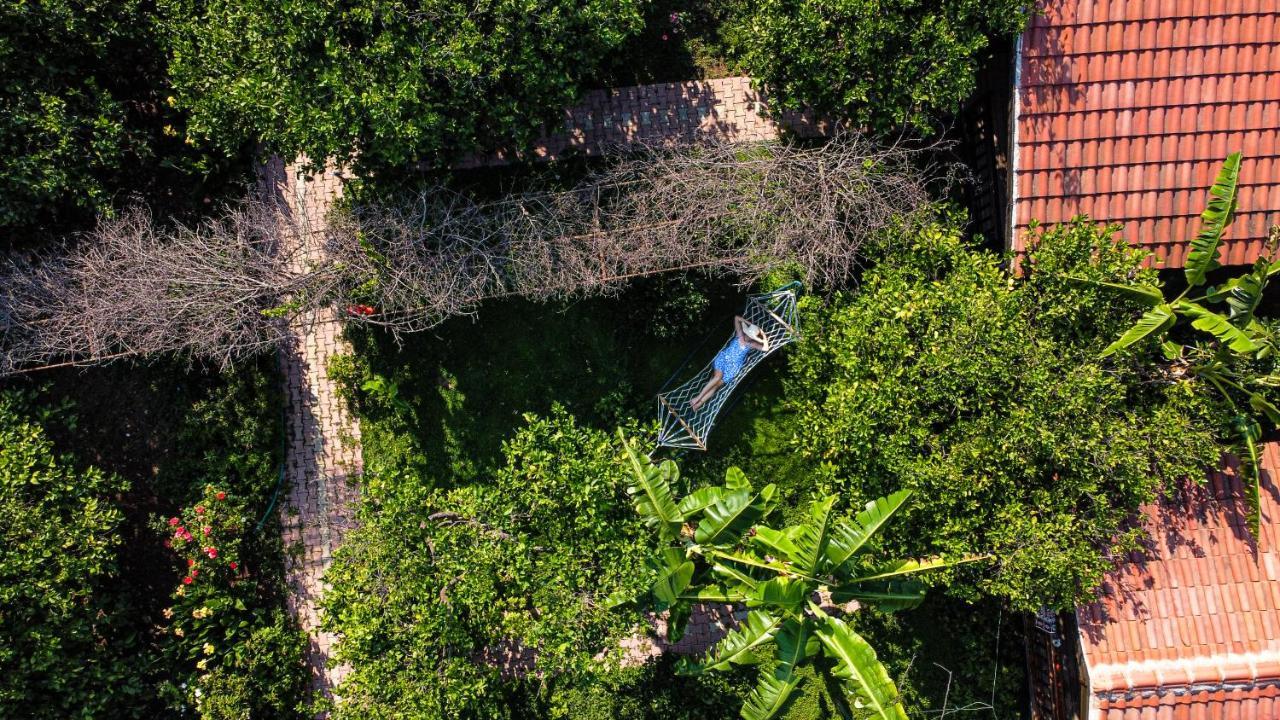 Lemon Garden Lodge Çıralı Zewnętrze zdjęcie