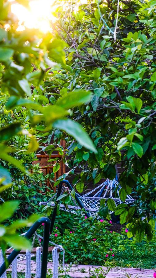 Lemon Garden Lodge Çıralı Zewnętrze zdjęcie