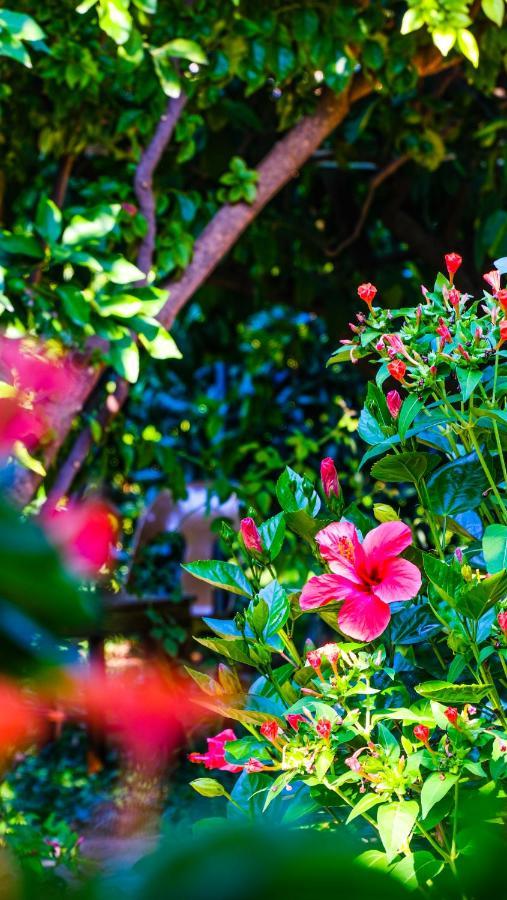 Lemon Garden Lodge Çıralı Zewnętrze zdjęcie