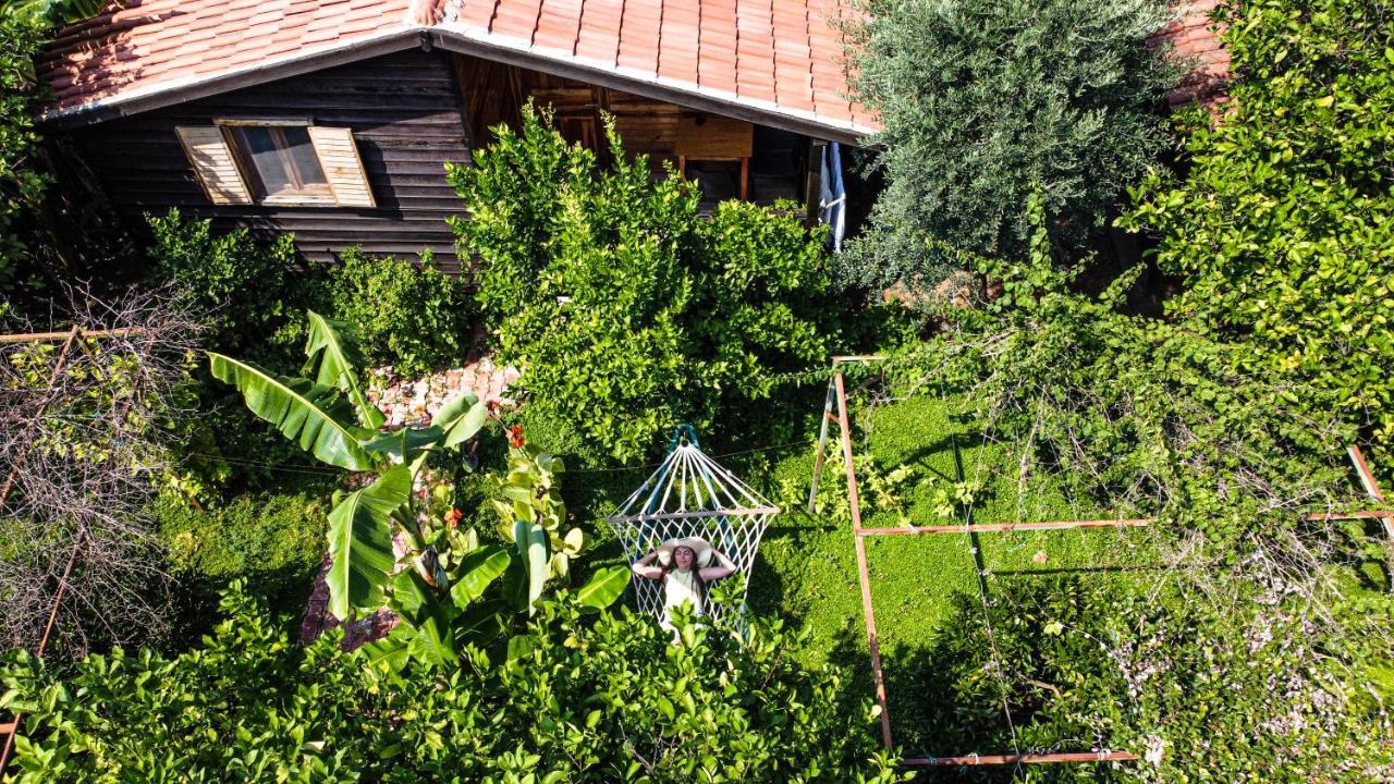 Lemon Garden Lodge Çıralı Zewnętrze zdjęcie