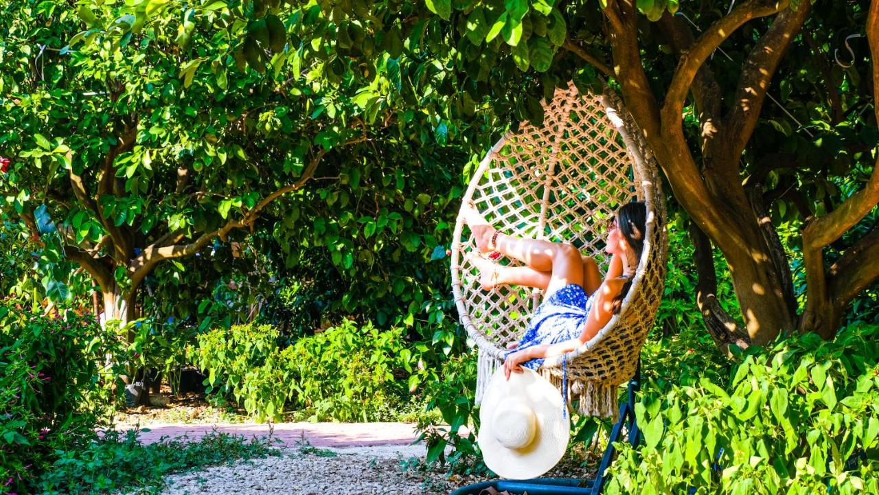 Lemon Garden Lodge Çıralı Zewnętrze zdjęcie