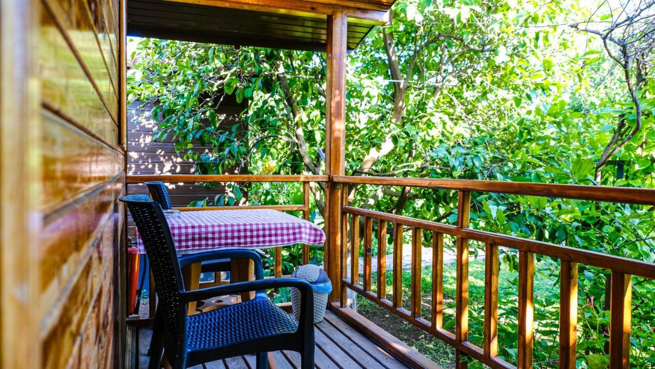 Lemon Garden Lodge Çıralı Zewnętrze zdjęcie