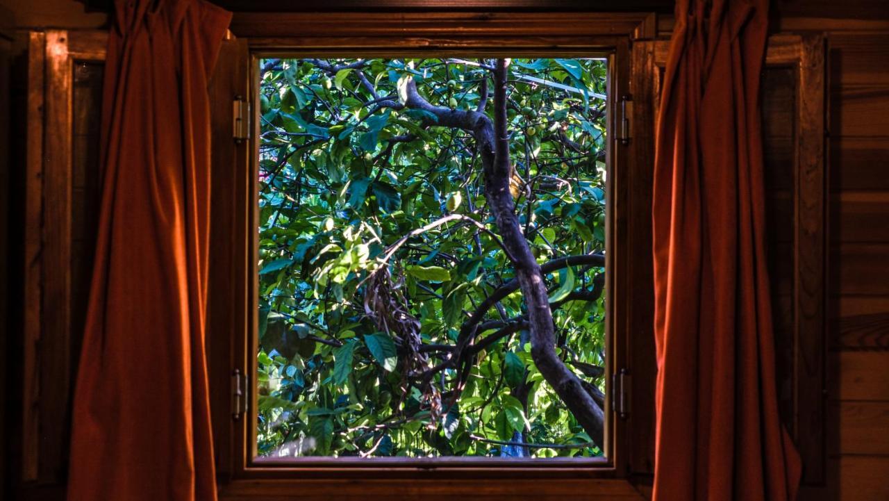 Lemon Garden Lodge Çıralı Zewnętrze zdjęcie