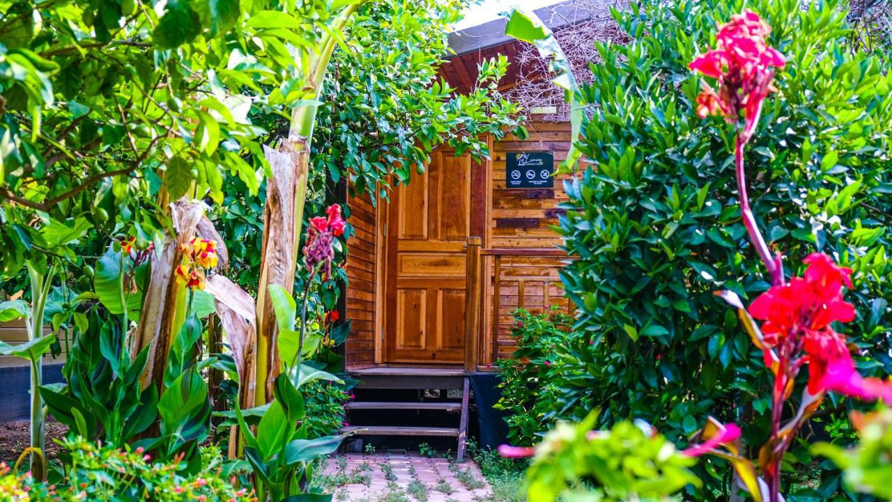 Lemon Garden Lodge Çıralı Zewnętrze zdjęcie