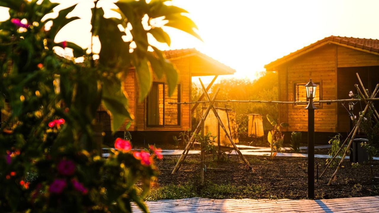 Lemon Garden Lodge Çıralı Zewnętrze zdjęcie