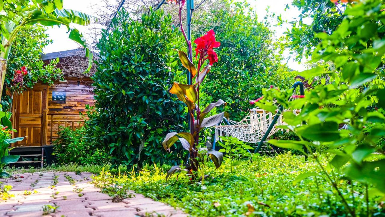Lemon Garden Lodge Çıralı Zewnętrze zdjęcie