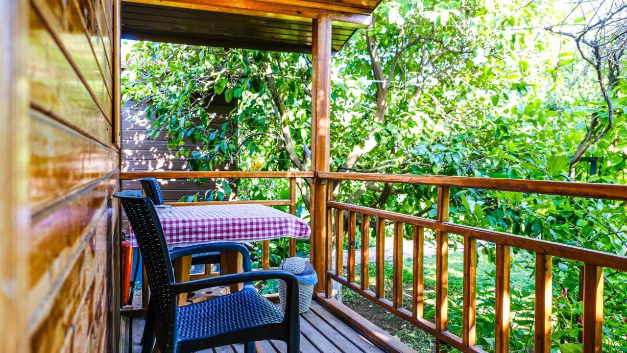 Lemon Garden Lodge Çıralı Zewnętrze zdjęcie