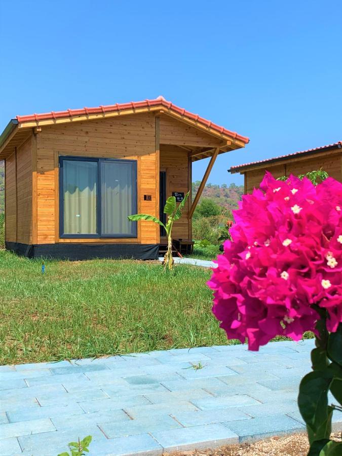 Lemon Garden Lodge Çıralı Zewnętrze zdjęcie