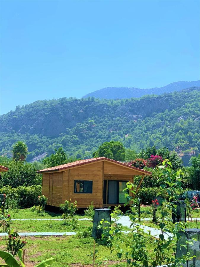 Lemon Garden Lodge Çıralı Zewnętrze zdjęcie