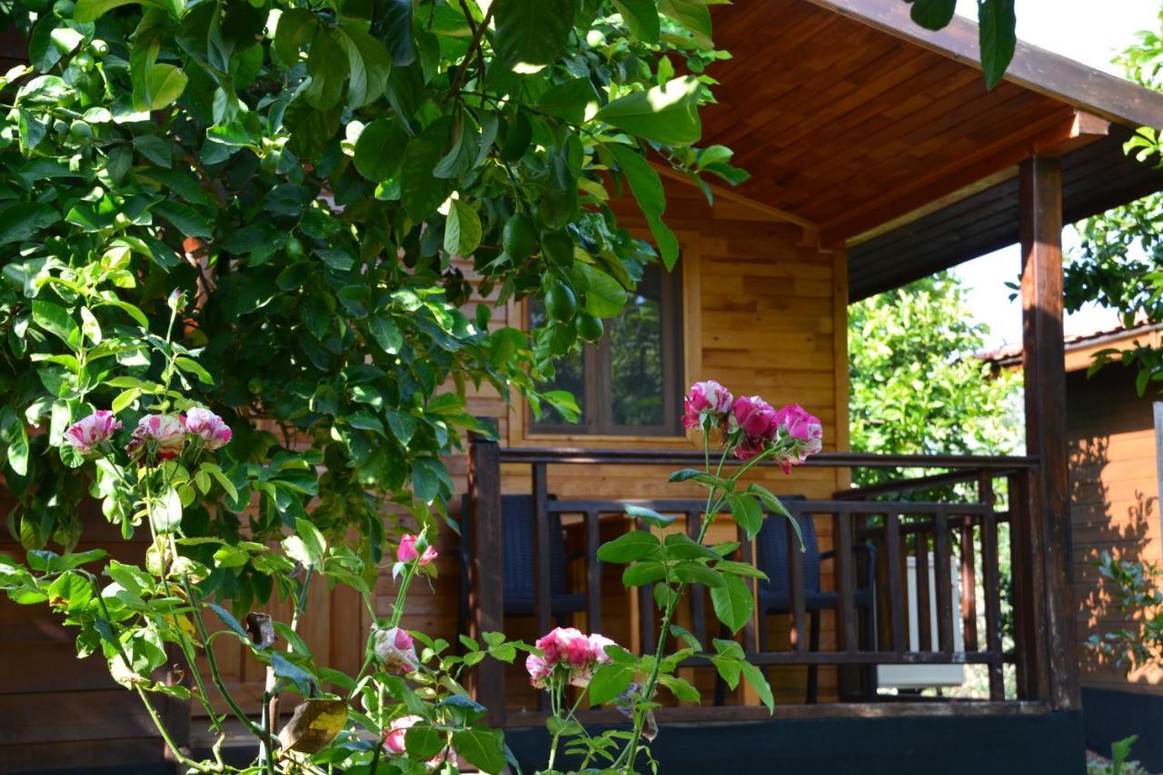 Lemon Garden Lodge Çıralı Zewnętrze zdjęcie