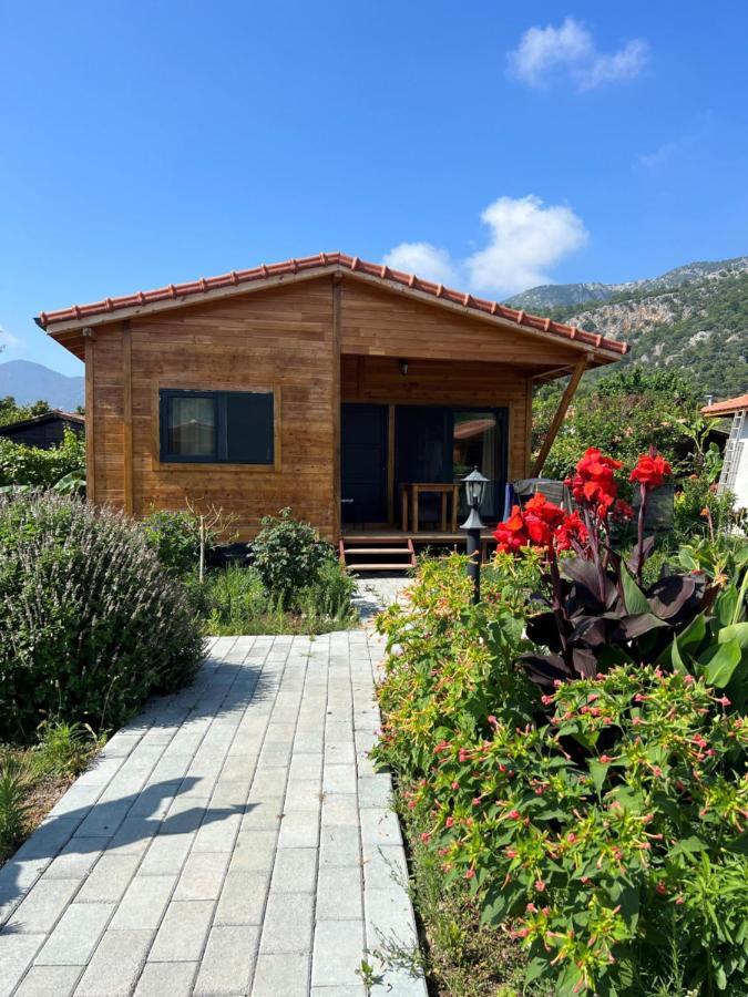 Lemon Garden Lodge Çıralı Zewnętrze zdjęcie