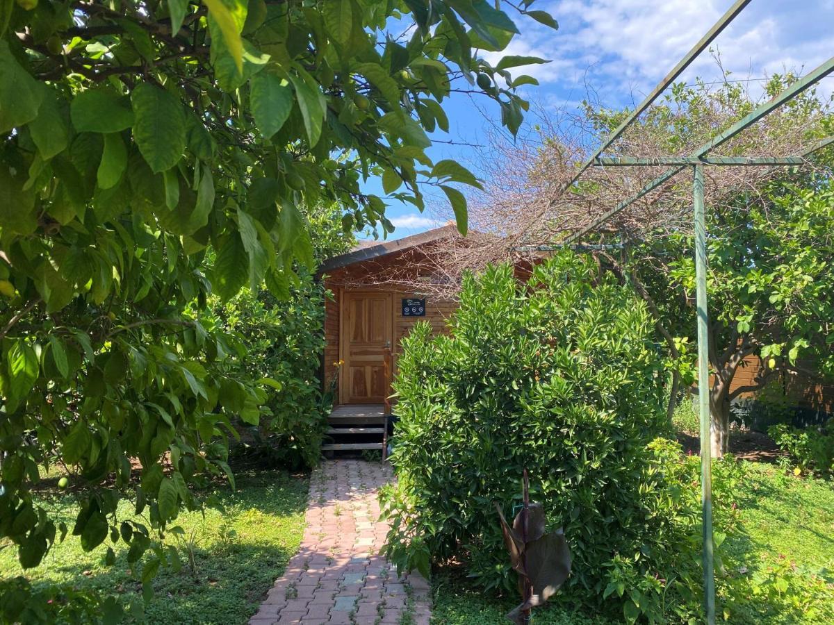Lemon Garden Lodge Çıralı Zewnętrze zdjęcie