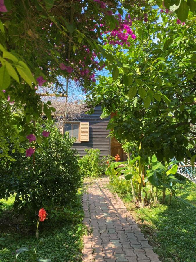 Lemon Garden Lodge Çıralı Zewnętrze zdjęcie