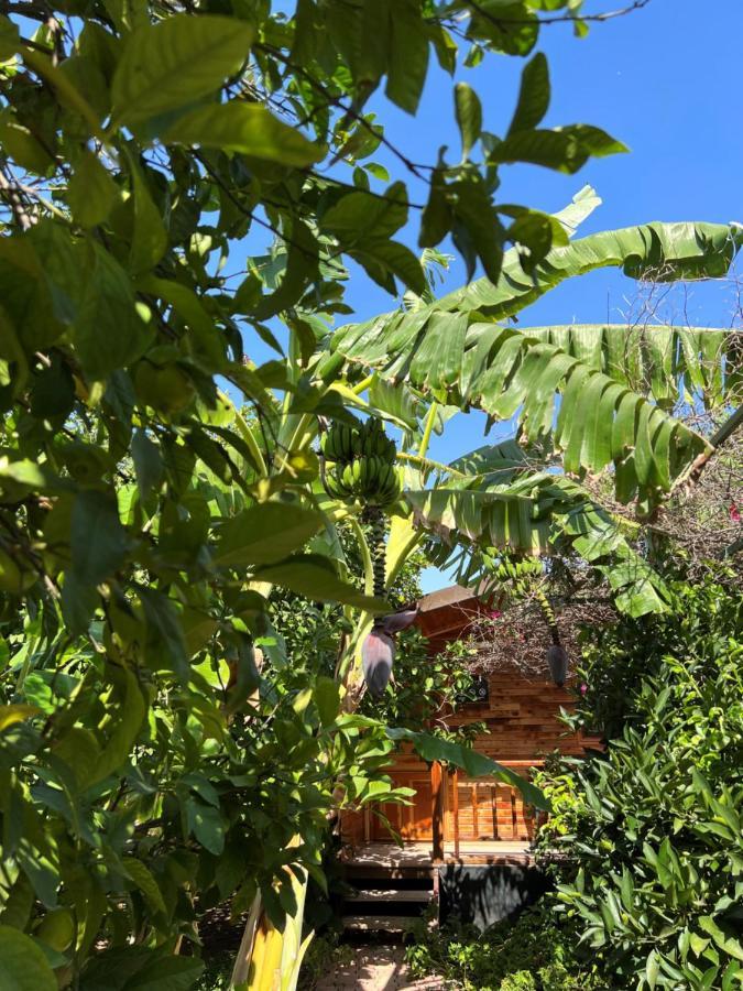 Lemon Garden Lodge Çıralı Zewnętrze zdjęcie