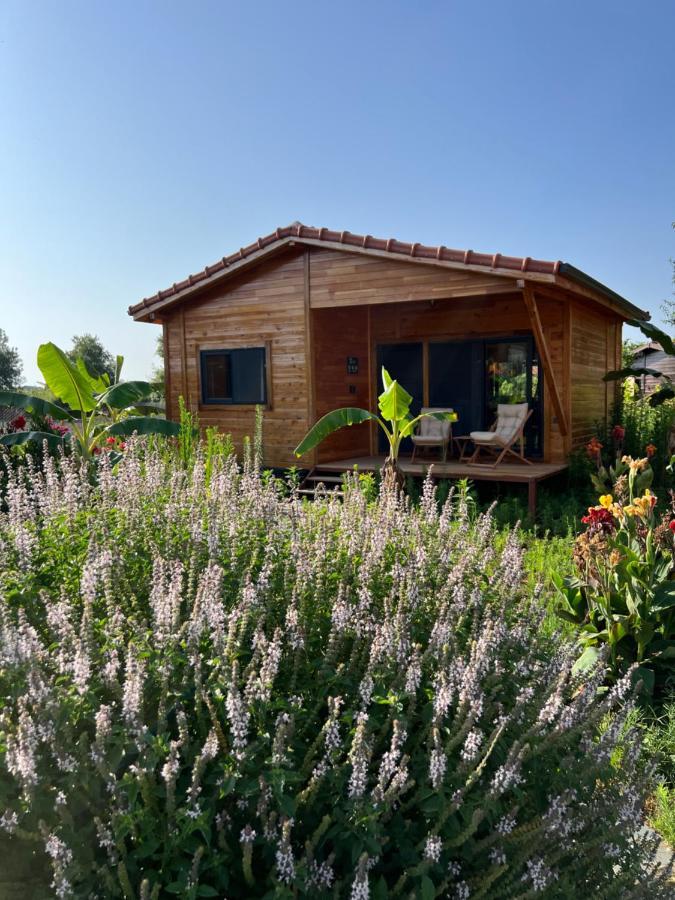 Lemon Garden Lodge Çıralı Zewnętrze zdjęcie
