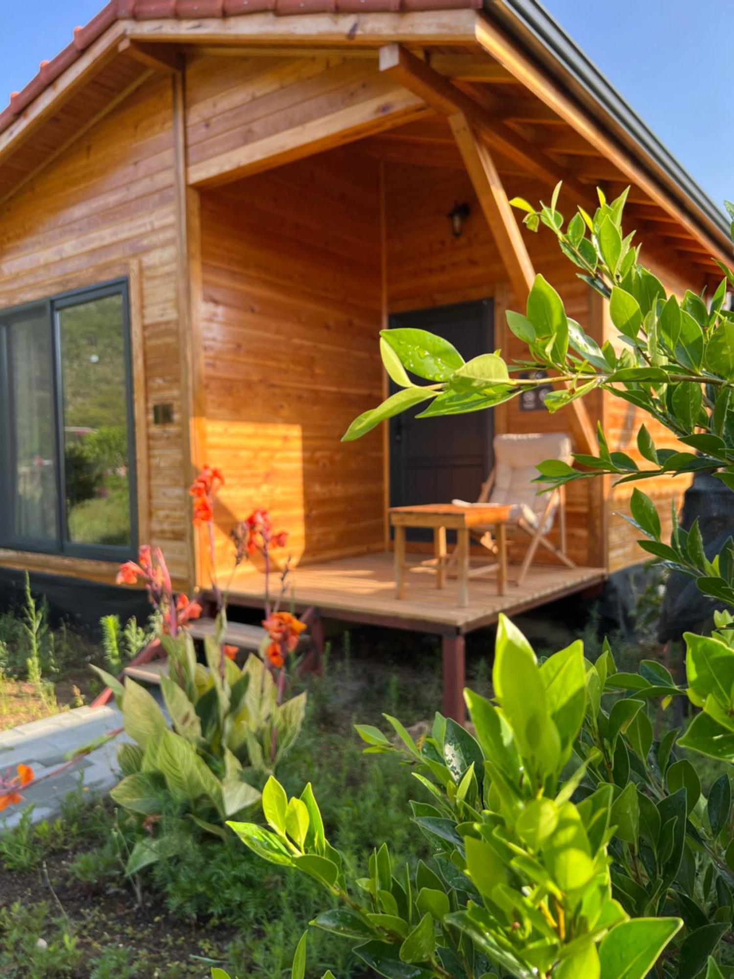 Lemon Garden Lodge Çıralı Zewnętrze zdjęcie