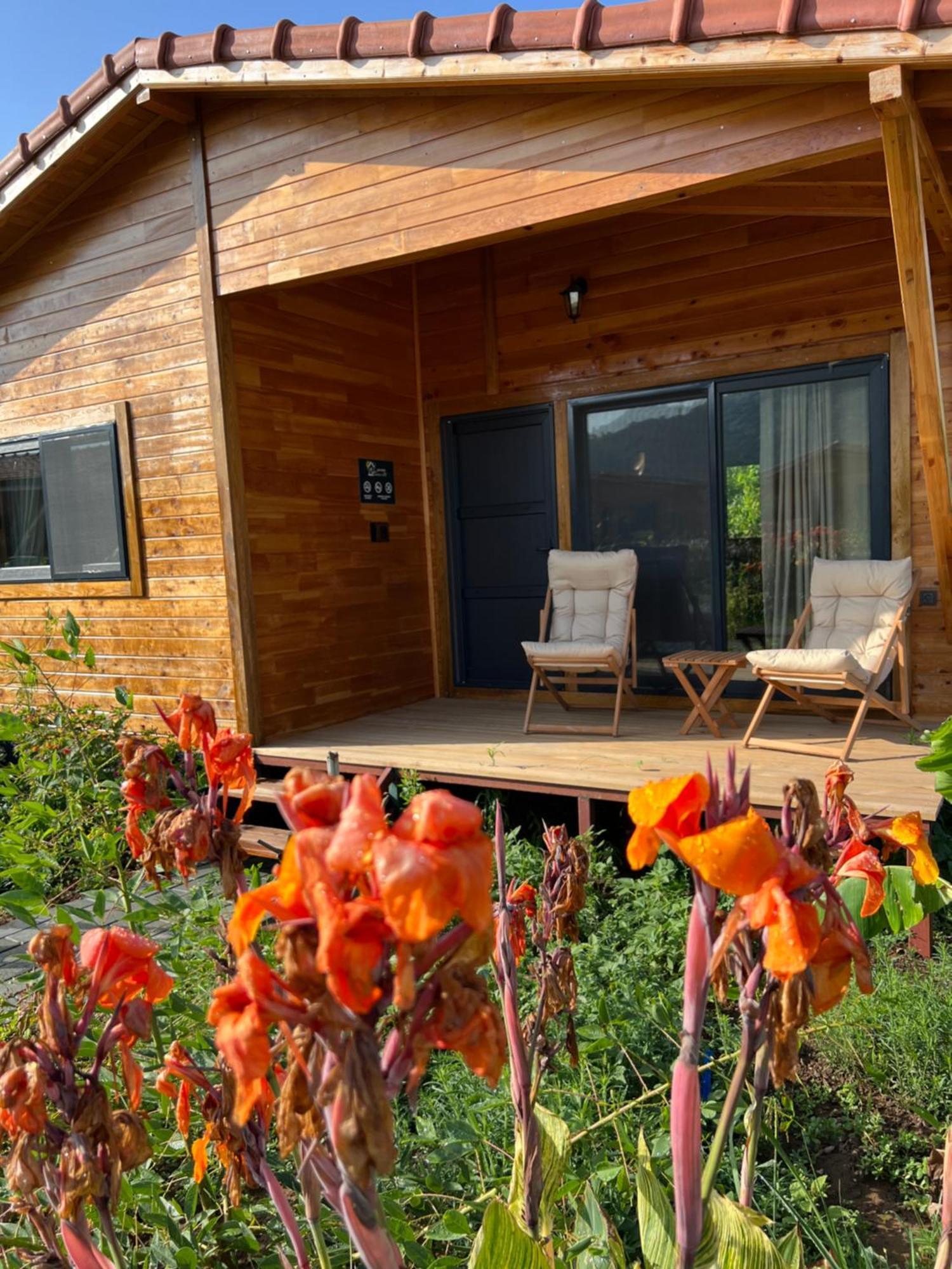 Lemon Garden Lodge Çıralı Zewnętrze zdjęcie