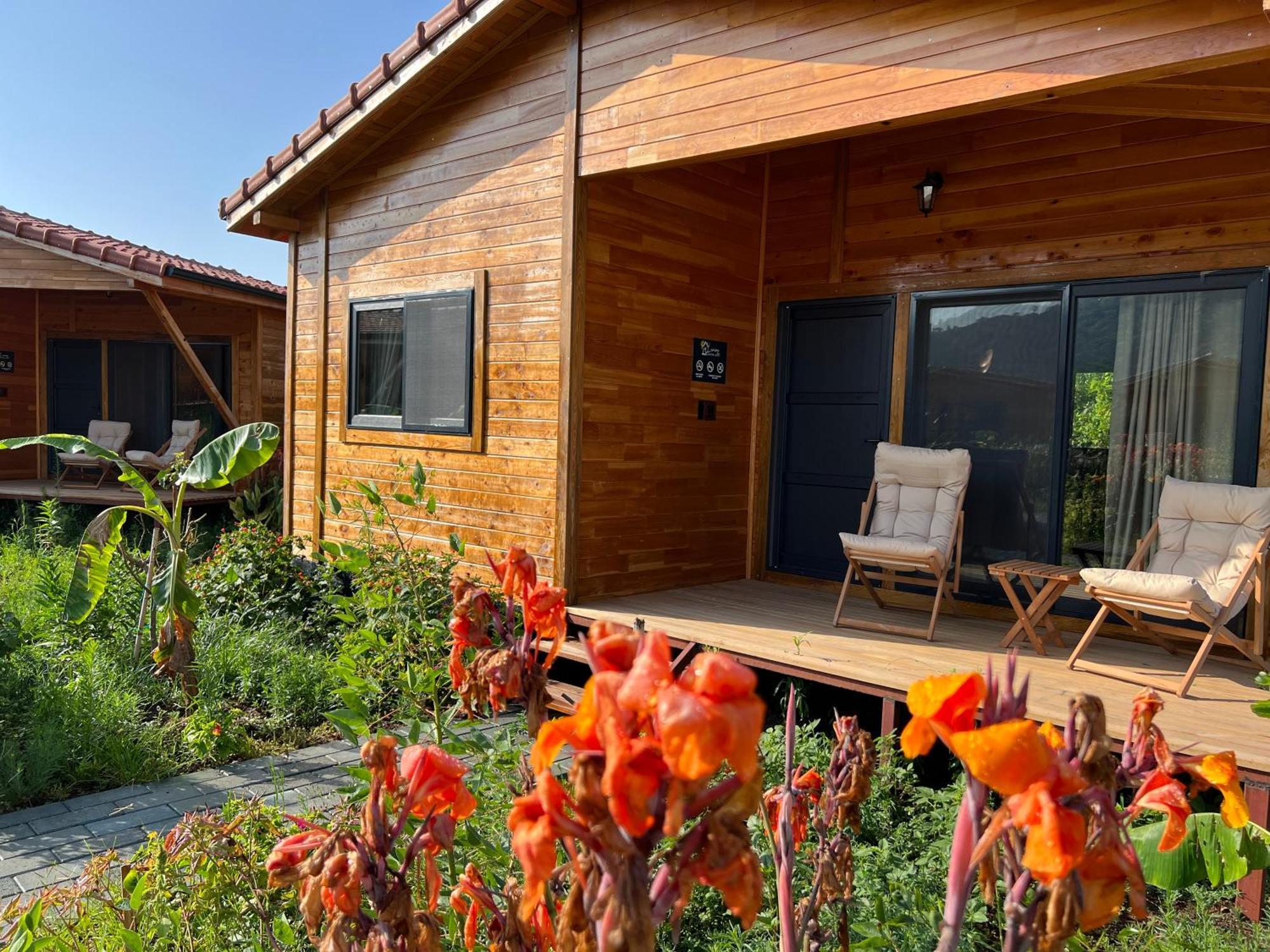 Lemon Garden Lodge Çıralı Zewnętrze zdjęcie