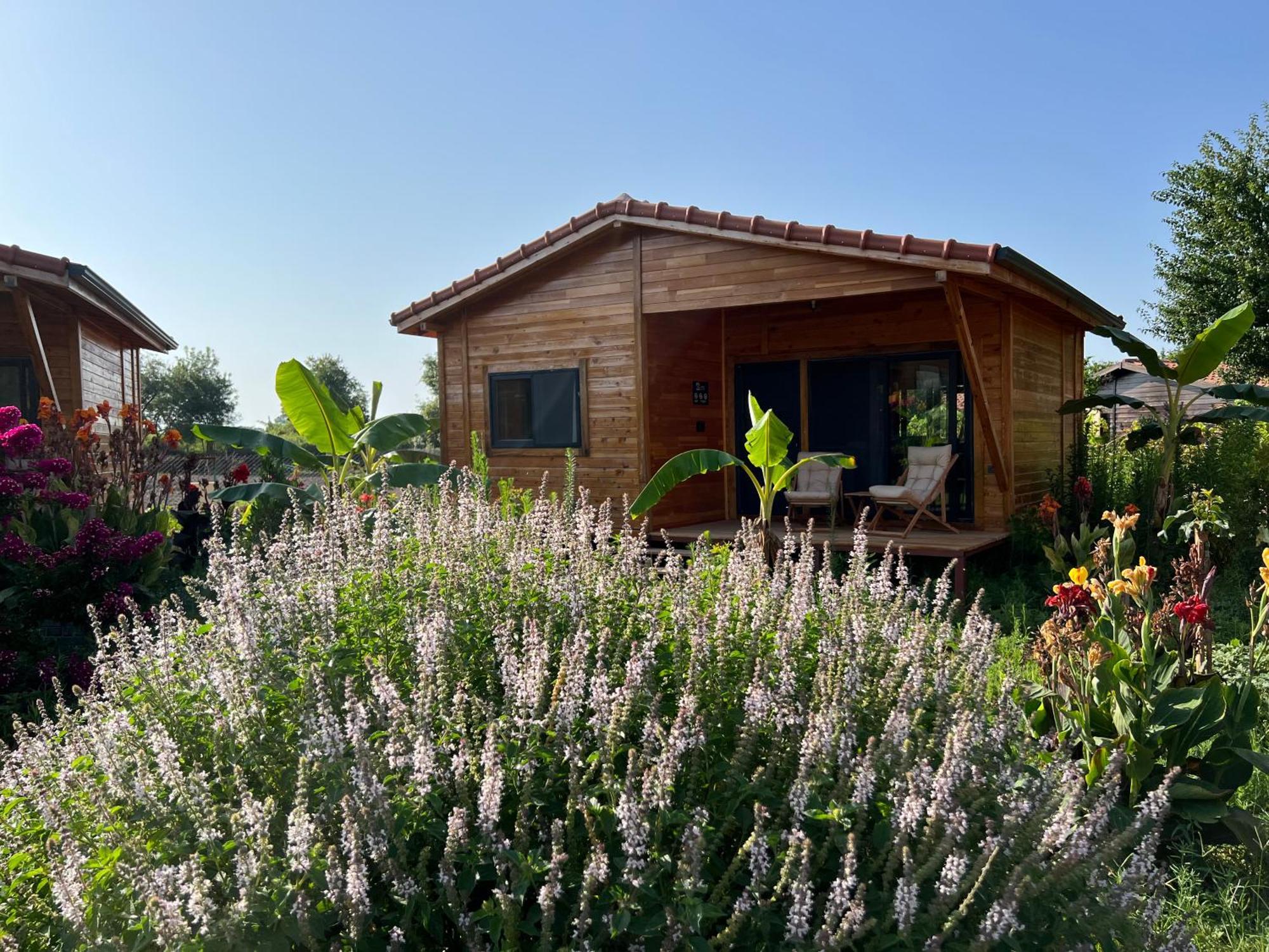 Lemon Garden Lodge Çıralı Zewnętrze zdjęcie