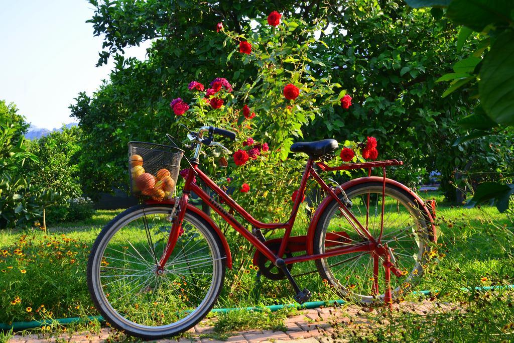 Lemon Garden Lodge Çıralı Zewnętrze zdjęcie