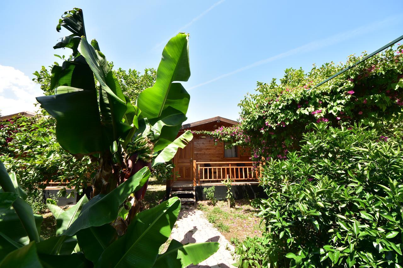 Lemon Garden Lodge Çıralı Zewnętrze zdjęcie