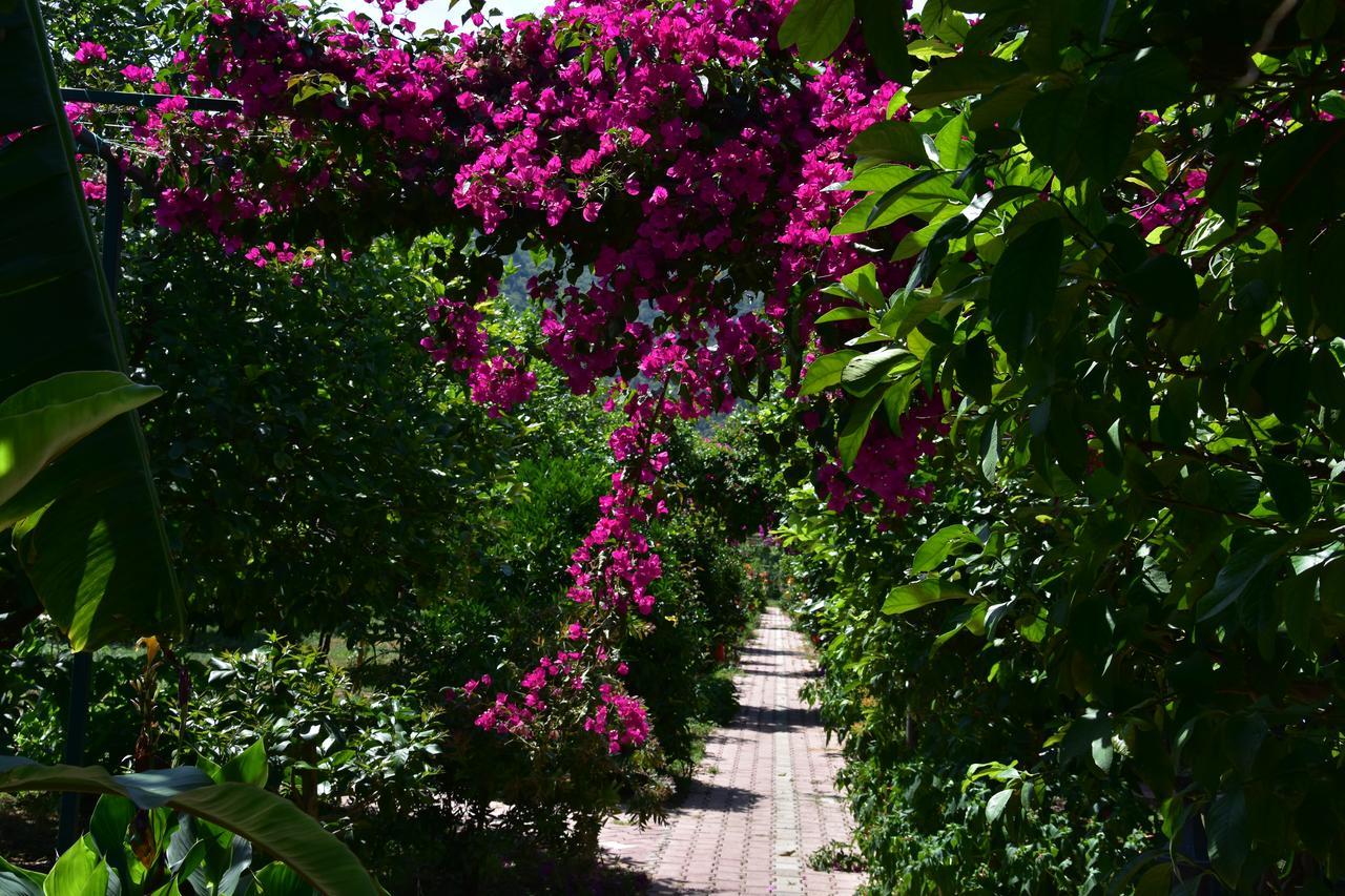 Lemon Garden Lodge Çıralı Zewnętrze zdjęcie