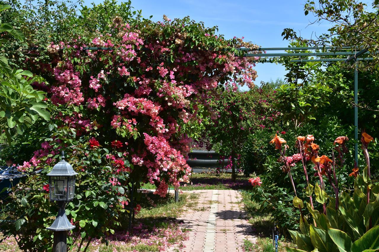 Lemon Garden Lodge Çıralı Zewnętrze zdjęcie